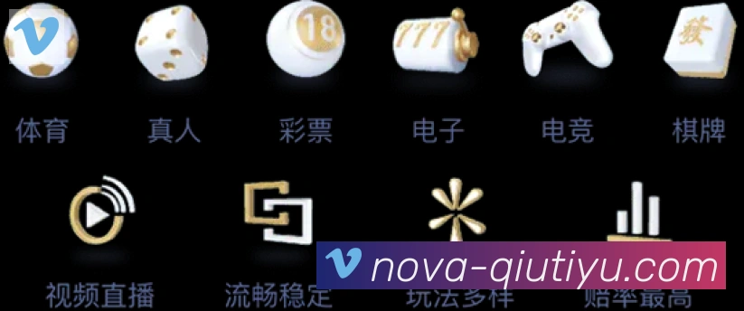 奖项证书